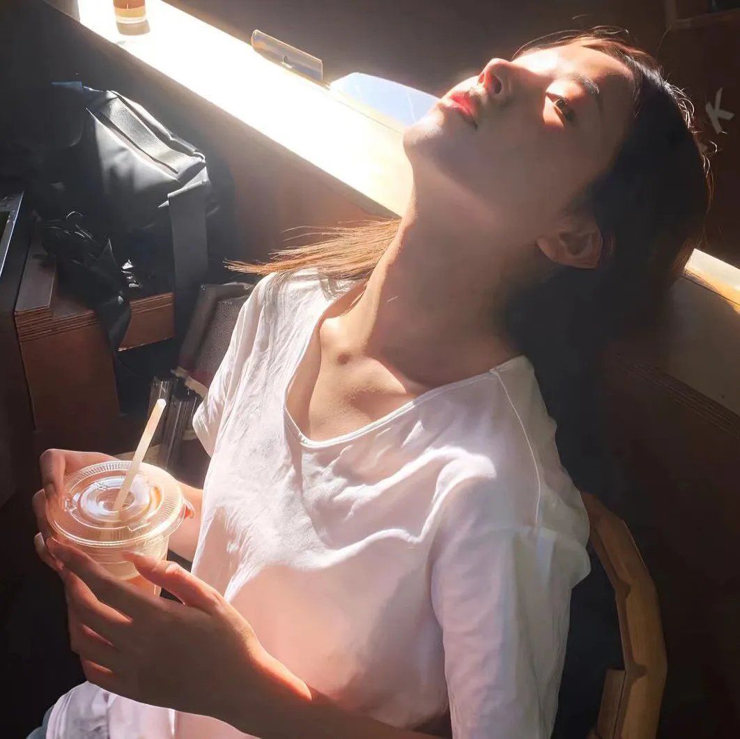 花园里的萤火虫封面