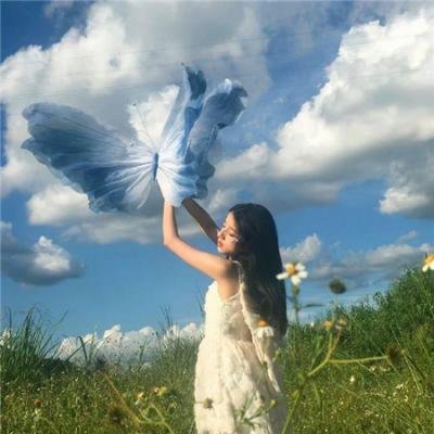 寒鸦情深海报