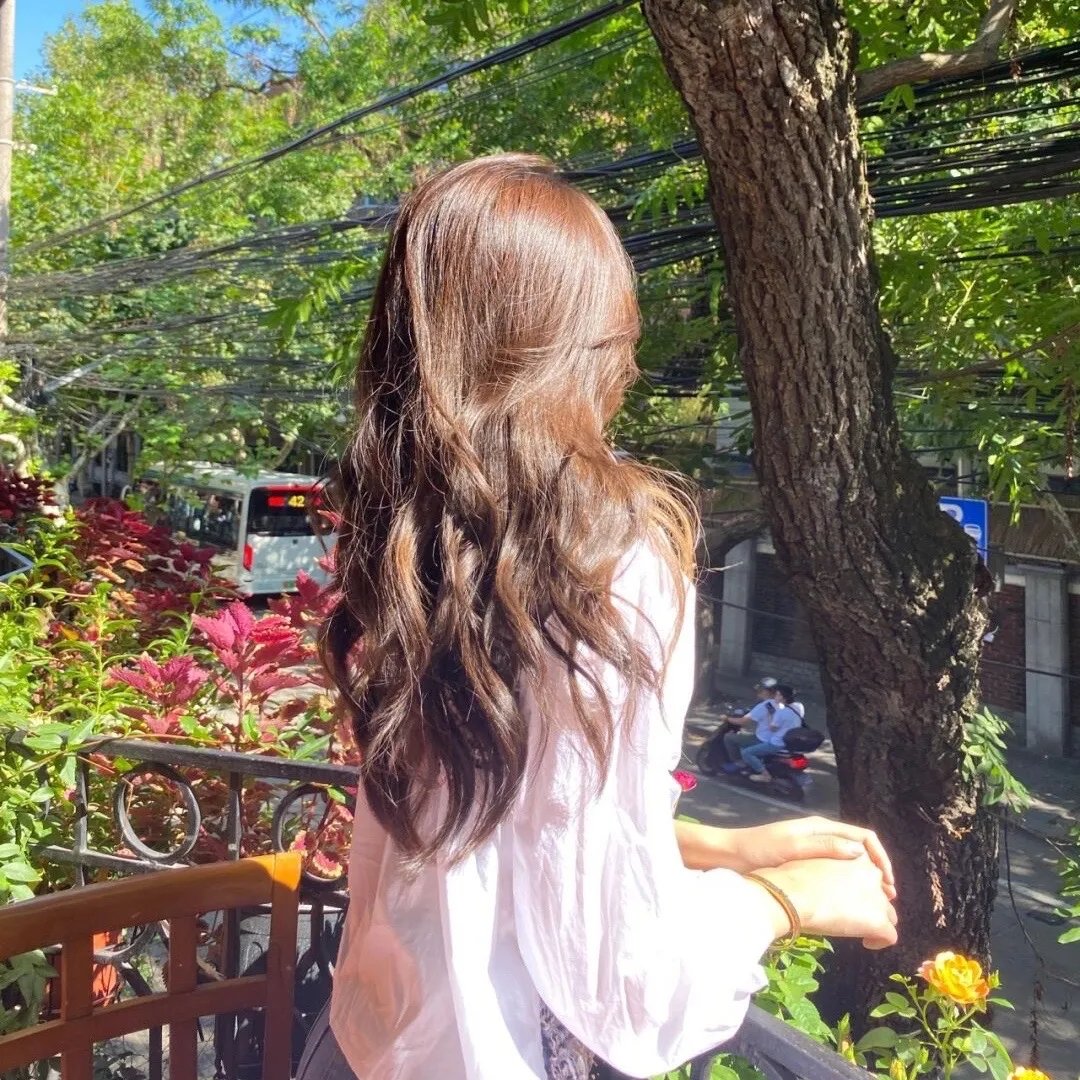 蜂蜜与四叶草封面